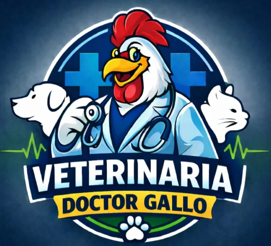 Logo de Veterinaria Doctor Gallo: un gallo con guardapolvo y estetoscopio junto a un perro y un gato